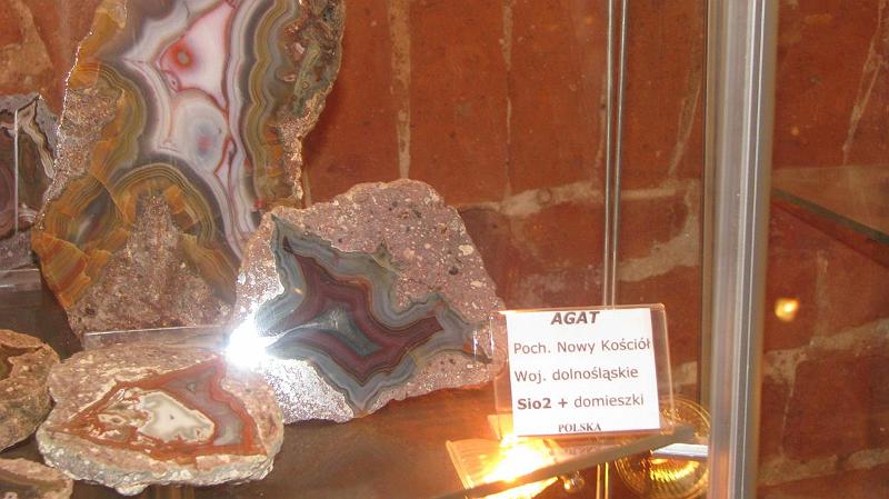 IMG_2886 (Copy)